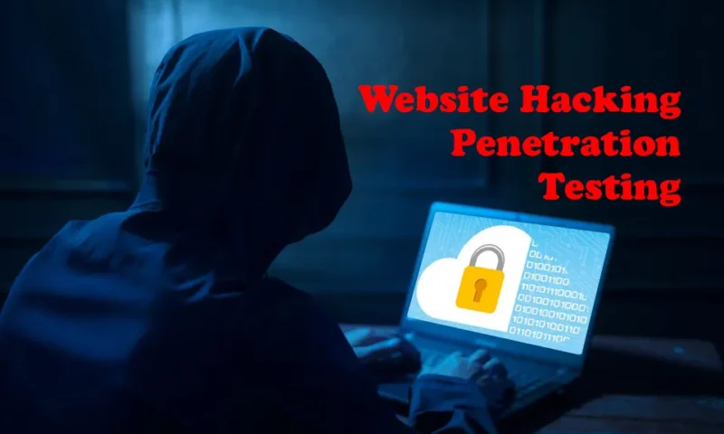 Website Hacking Penetration Testing