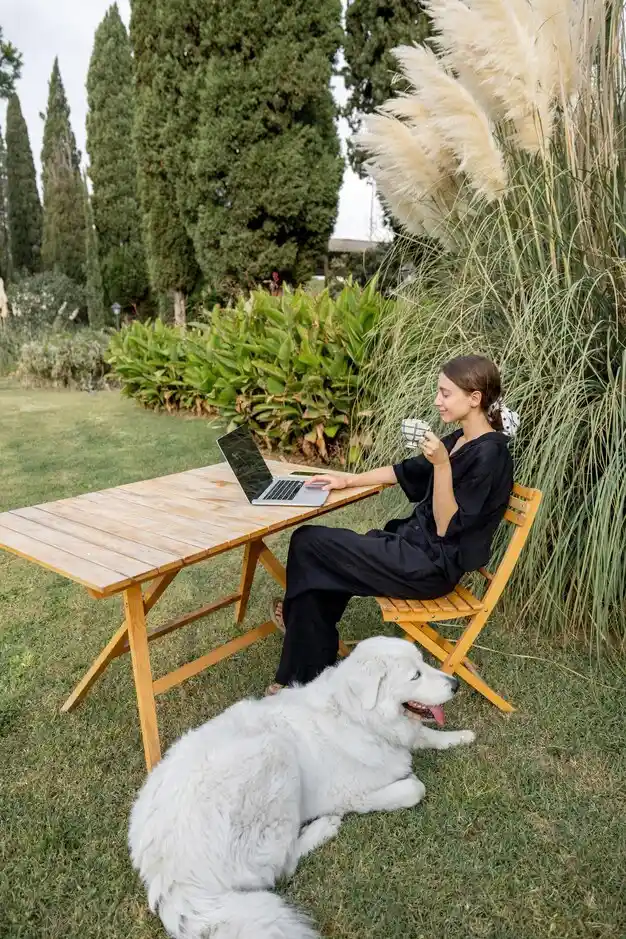 meditating in a serene, focused environment