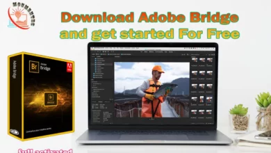 bridge Download Adobe Bridge and get started For Free