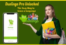 leagues in duolingo green owl language app 105 duolingo ielts