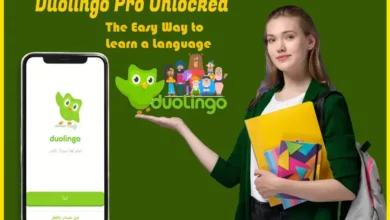 leagues in duolingo green owl language app 105 duolingo ielts