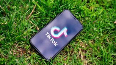 Leitfaden für TikTok-Werbung: Best Practices und zu vermeidende Fehler » Tipps für Social-Media-Werbung TikTok-Werbung: Best Practices und Fehler