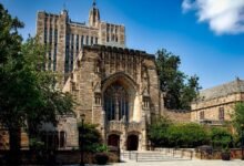 أفضل 11 دورة وشهادة مجانية من جامعة ييل [سبتمبر 2025]