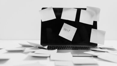 Adaptive strategies when life feels magic » Online Business Models Adaptive strategies when life feels magic