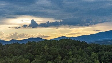 Les petits détails qui rendent les vacances meilleures