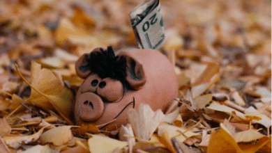 دليل العودة المالية: قروض الائتمان السيئ والاستثمار في العملات المشفرة