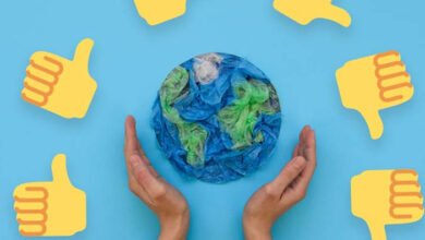 University Sustainability Ranking 2024/25 - Save the student » Free Courses University Sustainability Ranking 2024/25 - Save the student