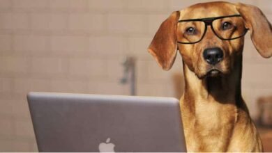 What is a MOOC and how do they work? » Free Courses What is a MOOC and how do they work?