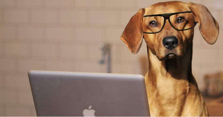 What is a MOOC and how do they work? » Free Courses What is a MOOC and how do they work?