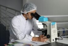 Was macht eine zuverlässige Forschungsressource aus? 5 Qualitätsprüfungen, die Sie durchführen müssen "... » Inhaltserstellung Was macht eine zuverlässige Forschungsressource aus? 5 Qualitätsprüfungen, die Sie durchführen müssen ...