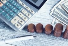 The markets are small and investors are betting on their rapid maturity » Investments The markets are small and investors are betting on their rapid maturity