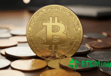 How to make stable passive income of $9,600 per day with ETCMi...