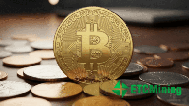 How to make stable passive income of $9,600 per day with ETCMi... » Bitcoin crash strategy How to make stable passive income of $9,600 per day with ETCMi...