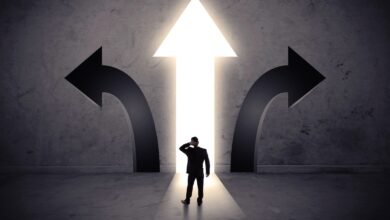 Rückzahlungshilfeplan (RAP) für IBR, PAYE und SAVE