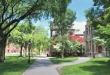 الحقيقة حول التضخم الإداري في الجامعات الأمريكية