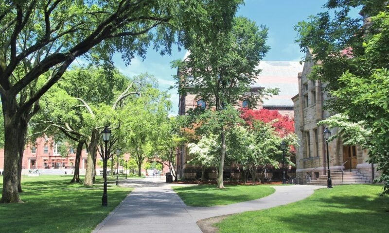 الحقيقة حول التضخم الإداري في الجامعات الأمريكية » اربح المال الحقيقة حول التضخم الإداري في الجامعات الأمريكية